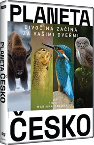 DVD Planeta Česko