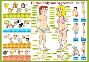 Human Body and Appearance - tabulka lamino A4