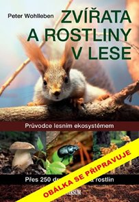 Zv&#237;řata a rostliny v lese