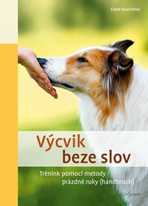 V&#253;cvik beze slov