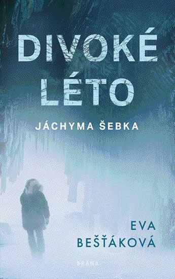 Divoké léto Jáchyma Šebka - Bešťáková Eva