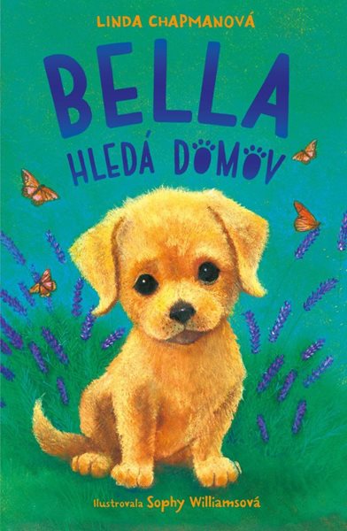 Levně Bella hledá domov - Chapmanová Linda
