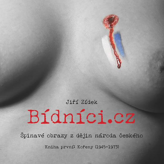 Levně Bídníci.cz - Zídek Jiří - 21x21 cm