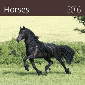 Kalendář nástěnný 2016 - Horses