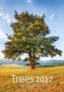 Stromy kalendář nástěnný 2017