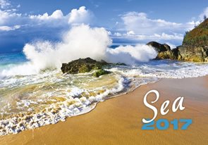 Sea kalendář nástěnný 2017