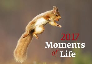 Moments of Life kalendář nástěnný 2017