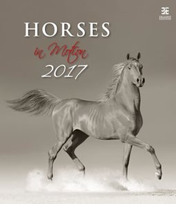 Horses in Motion/Exclusive kalendář nástěnný 2017