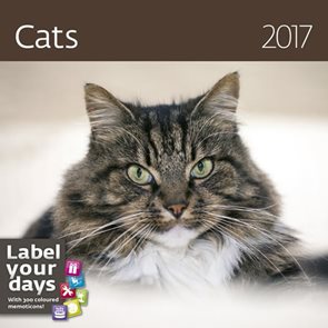Kalendář nástěnný 2017 "label your days" - Cats