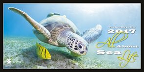 All About Sea Life/Exclusive kalendář nástěnný 2017