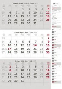 Kalendář nástěnný 2017 - 3měsíční/šedý s poznámkami