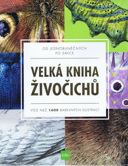 Velká kniha živočichů od jednobuněčných po savce - Více než 1600 barevných ilustrací - kolektiv auto