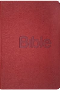 Bible, překlad 21. století (Coral kůže)