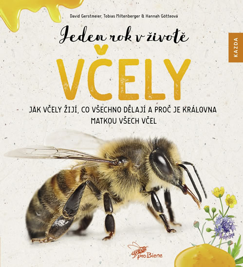 Jeden rok v životě včely - Jak včely žijí, co všechno dělají a proč je královna matkou všech včel - Gerstmeier David, Miltenberger Tobias, Götteová Hannah