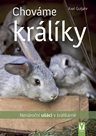 Chováme králíky - Nenároční ušáci v králíkárně