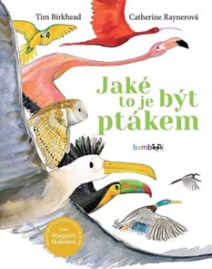Jak&#233; to je b&#253;t pt&#225;kem