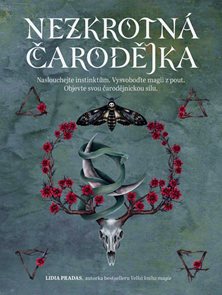 Nezkrotn&#225; čarodějka