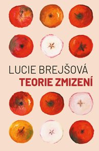 Teorie zmizen&#237;