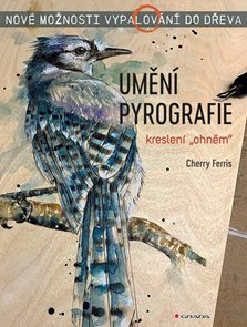 Uměn&#237; pyrografie - Nov&#233; možnosti vypalov&#225;n&#237; do dřeva