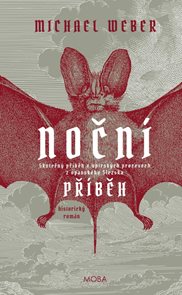 Nočn&#237; př&#237;běh - Skutečn&#253; př&#237;běh o up&#237;rsk&#253;ch procesech z Opavsk&#233;ho Slezka