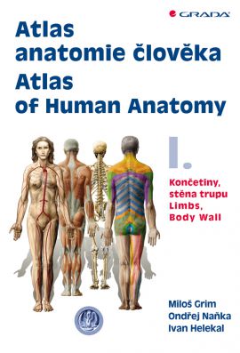 Levně Atlas anatomie člověka I. - kolektiv autorů - 21x29