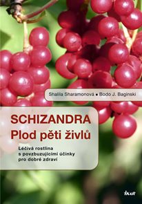 Schizandra - Plod pěti živlů. Léčivá rostlina s povzbuzujícími účinky pro dobré zdraví