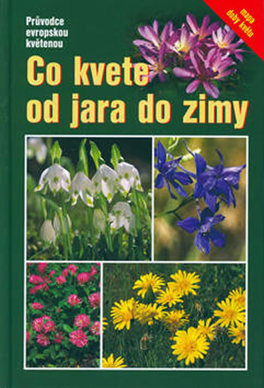 Co kvete od jara do zimy - Dreyer Eva - 13,9x20,1