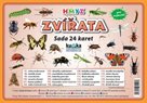 Zvířata hmyz - Sada 24 karet