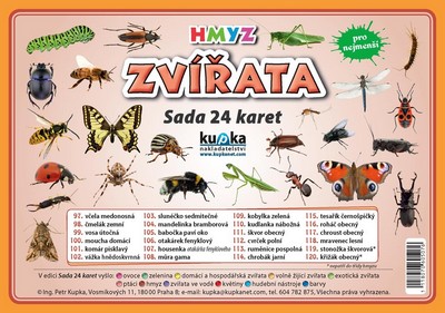 Zvířata hmyz - Sada 24 karet - Kupka Petr a kolektiv - 14,8x21,1