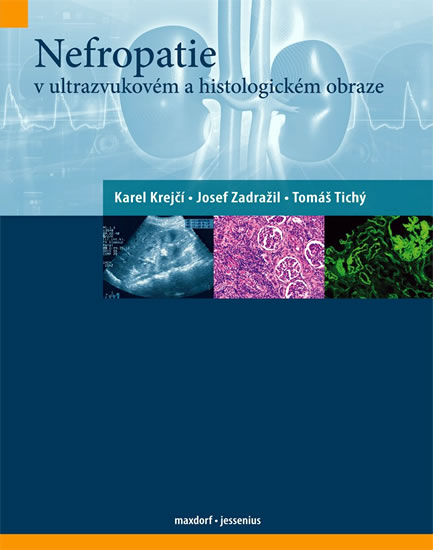 Nefropatie v ultrazvukovém a histologickém obraze - kolektiv autorů - 21,9x28