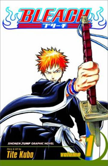 Bleach 1: The Death and the Strawberry - Kubo Tite - 11,4x17,6