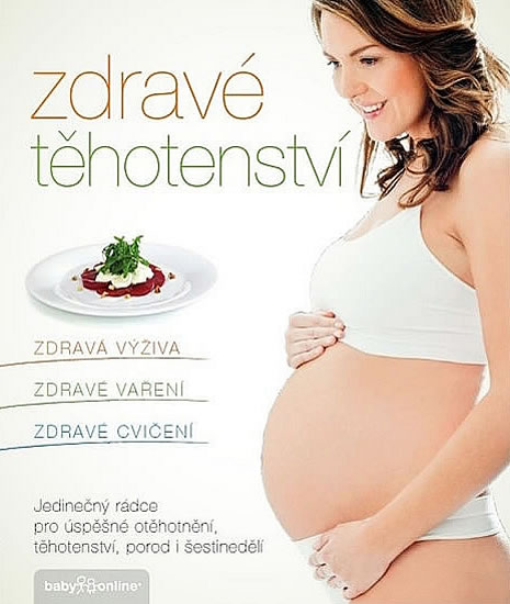Zdravé těhotenství - Vorlová Kamila, Eliášová Jana - 22,6x26,6