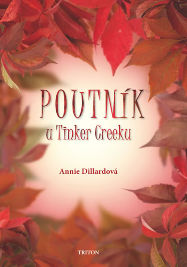 Poutník u Tinker Creeku - Dillardová Annie - 14x20